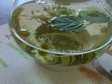 herbtea.gif (9879 �o�C�g)