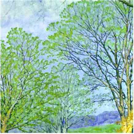 tree.jpg (25199 �o�C�g)