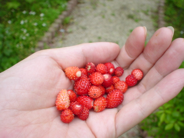 �Î_���ς��Ă��Ԃ̖��H