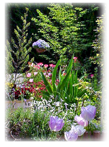 ���̂���ɗV�тɗ��܂��񂩁H