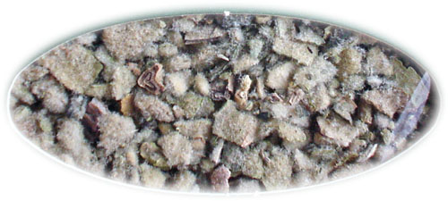 �r���[�h���E�Y�C�J�@Verbasum thapsus