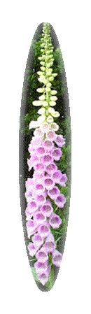 �W�L�^���X�ł��B