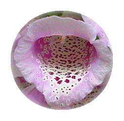 ���͒N�ł��傤�H