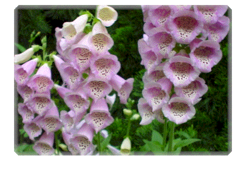 �Ƃ�t����������͋��Ȃ́c