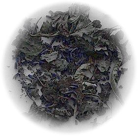 �t������