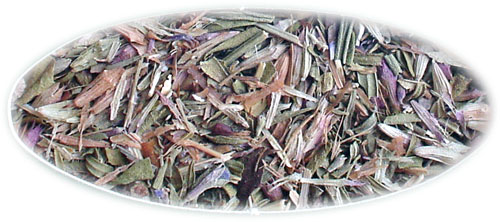 �q�\�b�v�@Hyssopus officinalis