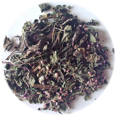 ���^�{�ɂ��n�[�u�e�B