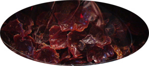 ���[�Y�q�b�v�@Rosa canina