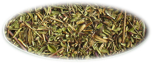 �Z���s�����@Thymus serpyllum