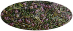 �G���J Calluna vulgaris