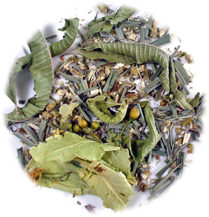 �R�T�A�s���ɂ��n�[�u�e�B